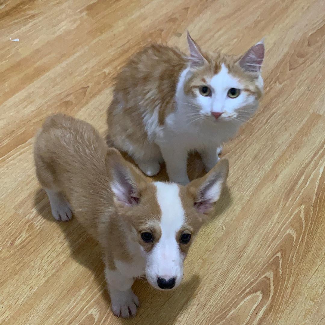 李李会发财↑↑↑