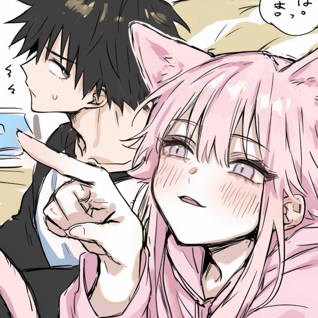 .一只猫.