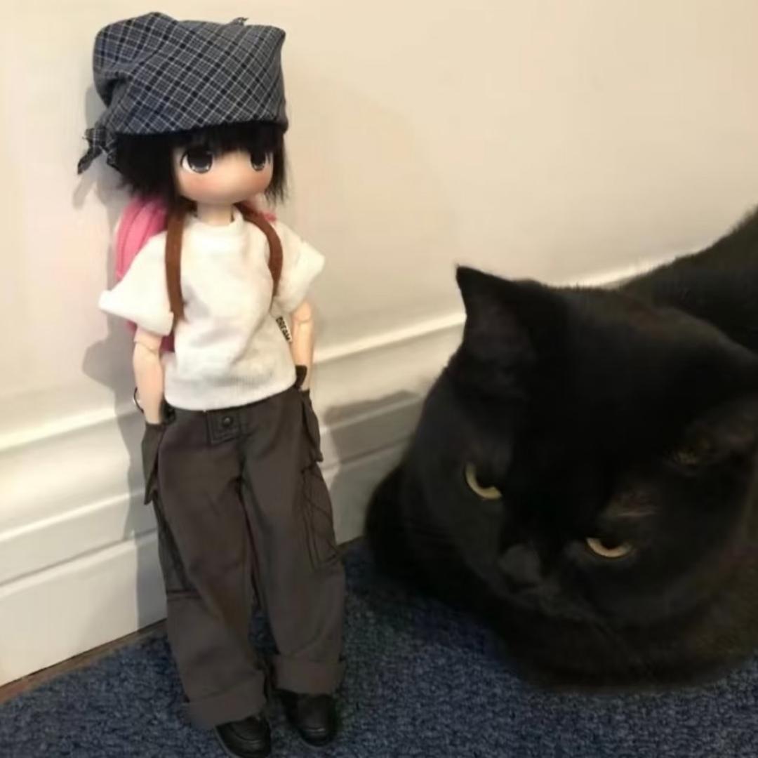 曙光女神的宽恕