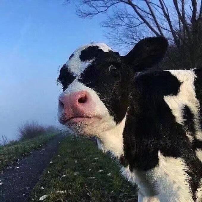 成都泡泡云百货