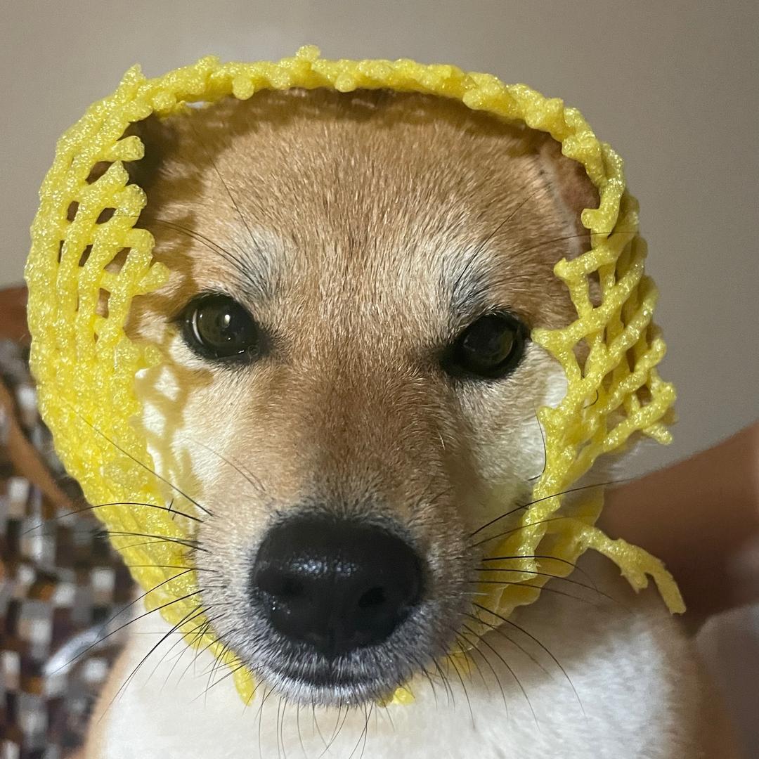 牙ଉ