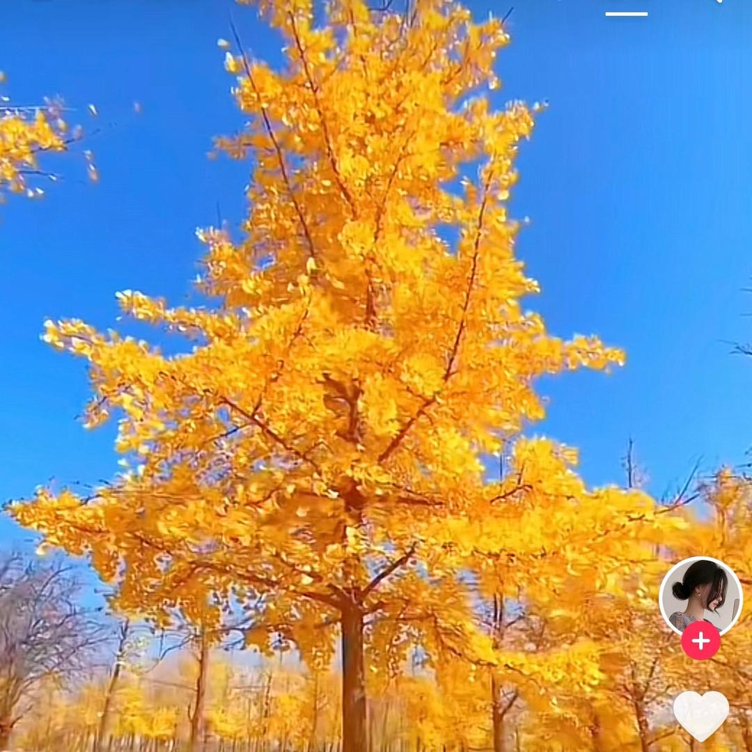 骑着龙虾逛盱眙的大叔