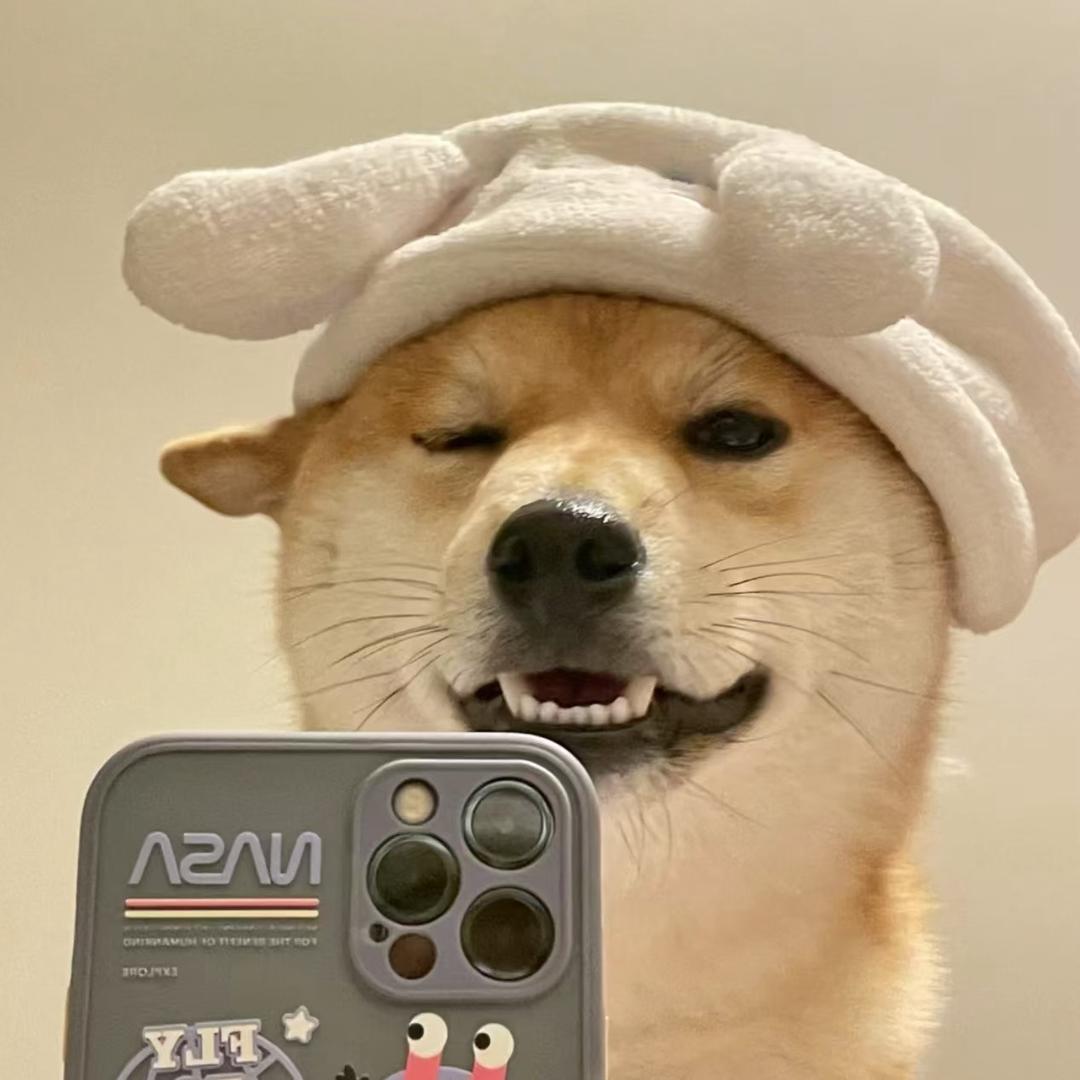 孟不然.