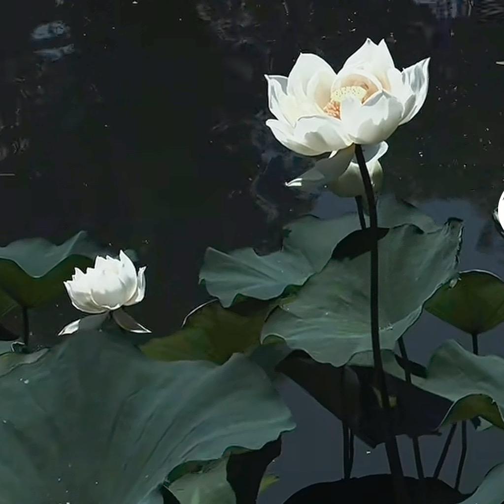 ～晚意