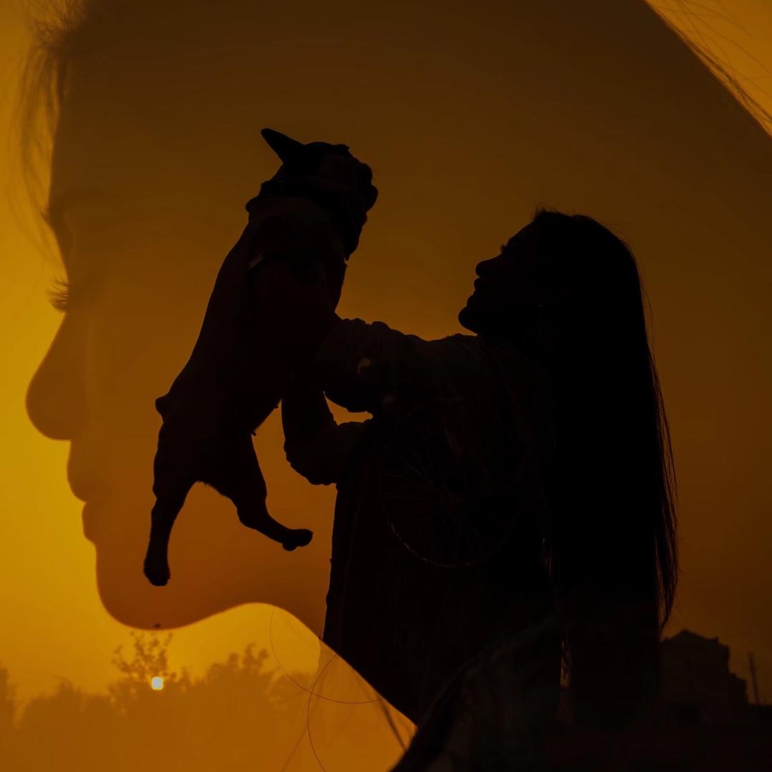 乐乐❤️的铲屎官