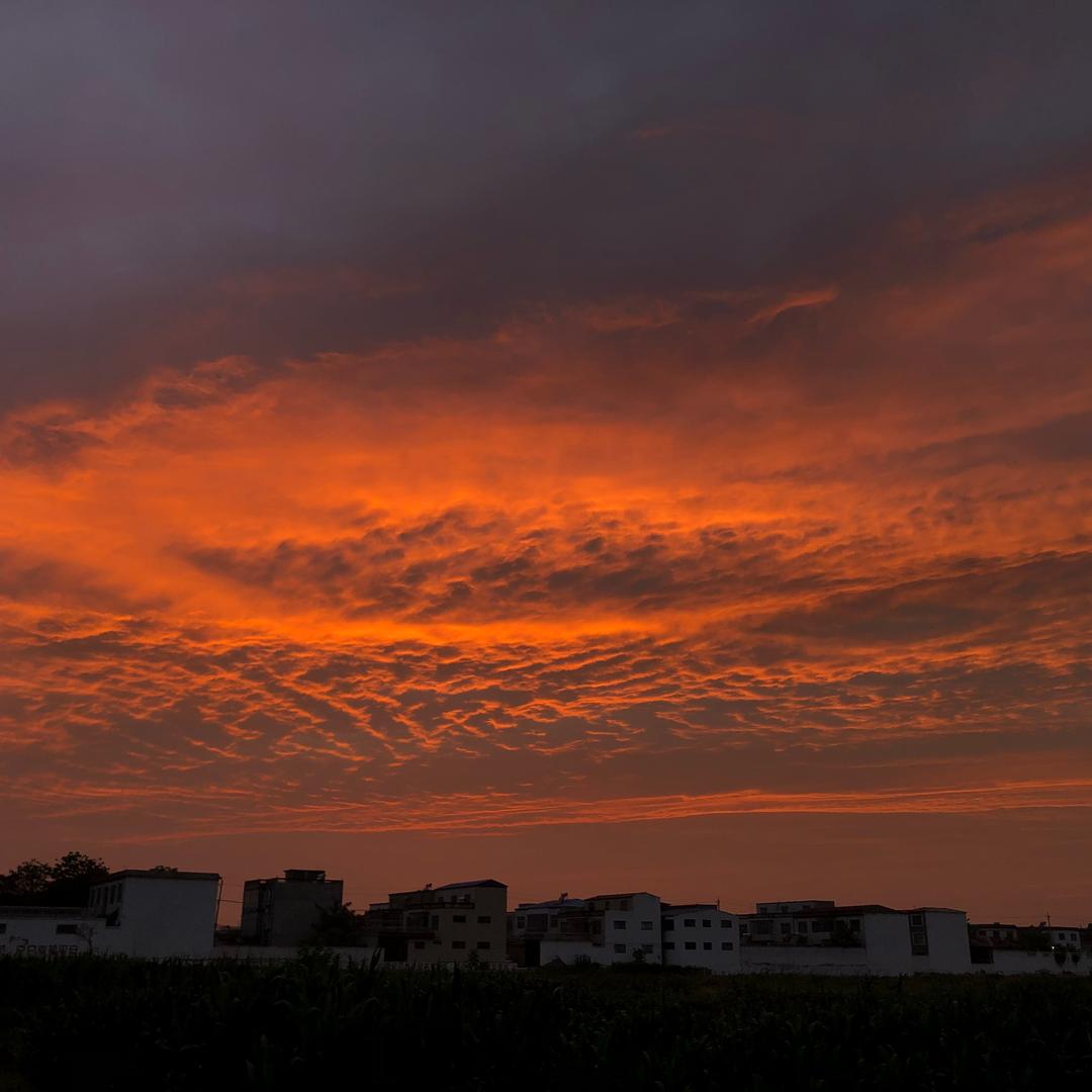 🌈🌈 🌈 🌈 🌈 🌈🌈 🌈