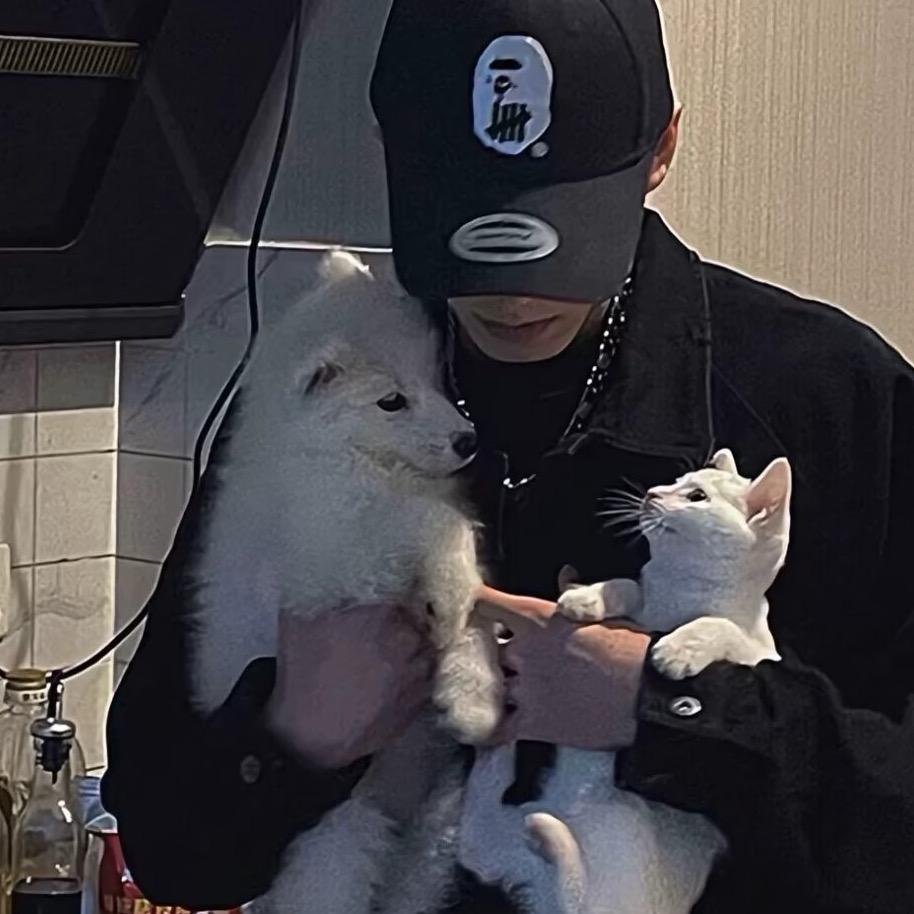 🐯he🐯