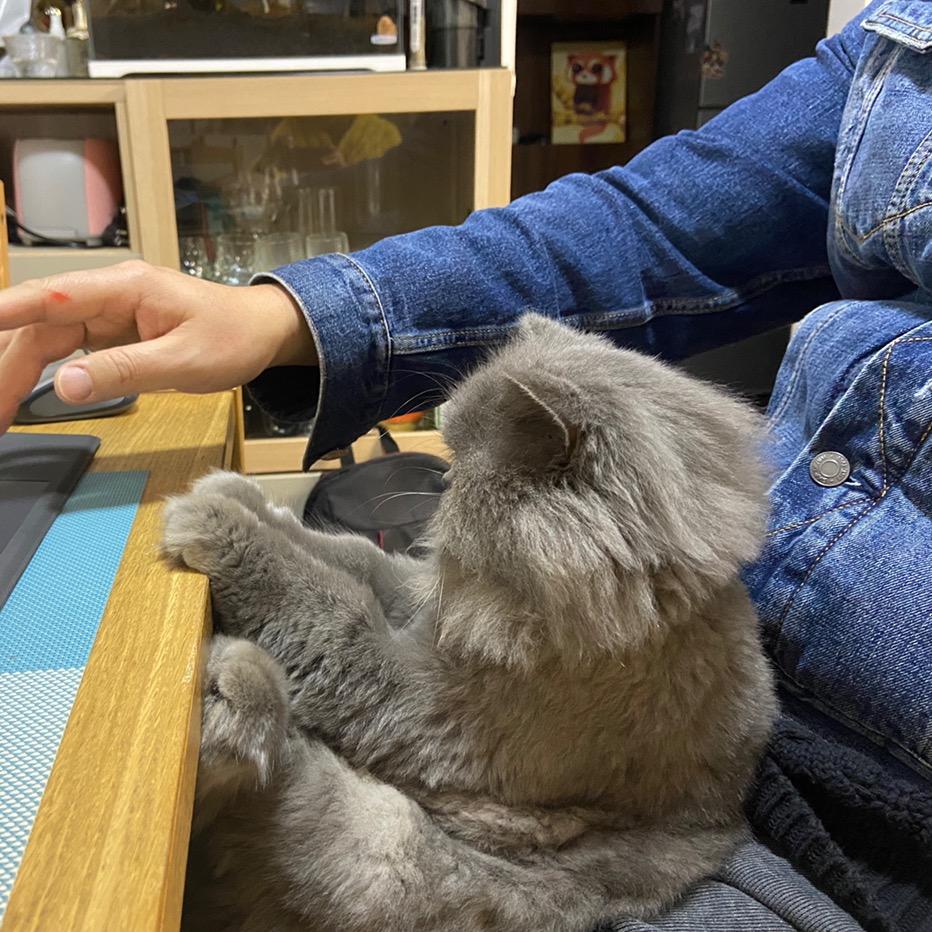 小风车在线咨询