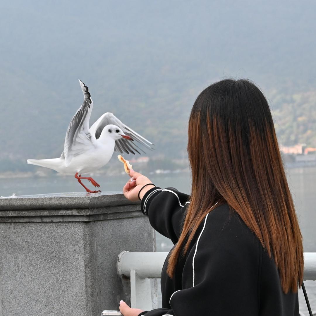 ✨睡不醒的小付
