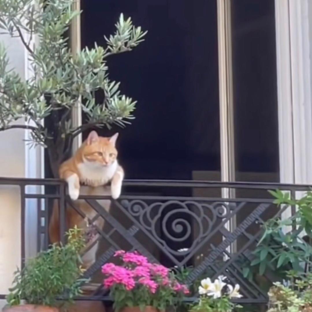 🥎🥎🥎🥎🥎🧘🏼‍♀️