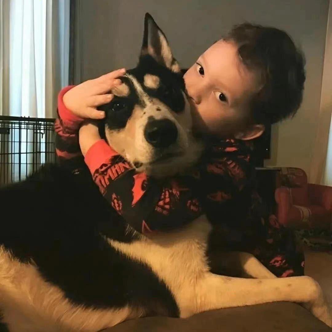 冒牌飞行员