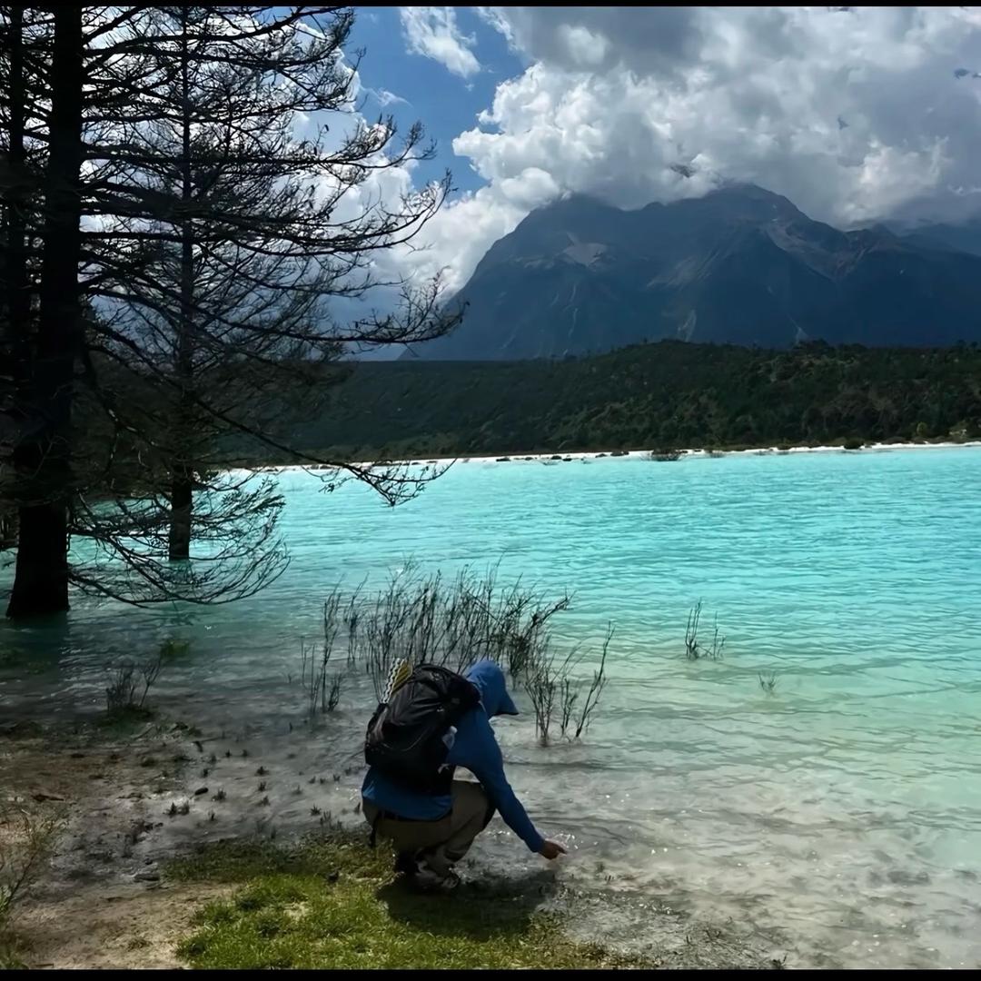 金莲重生抽武臀
