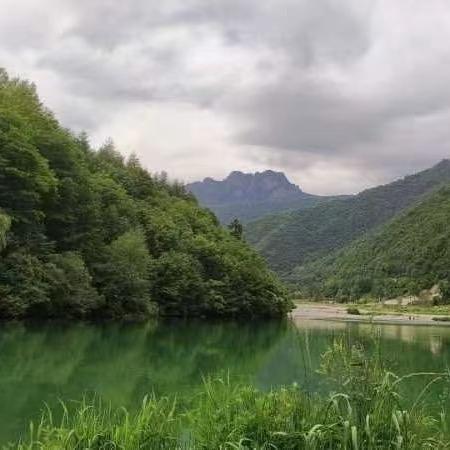酒空已醉