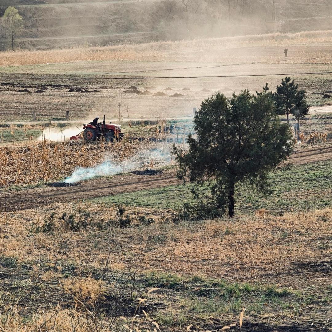 知语花田（做大做强中）