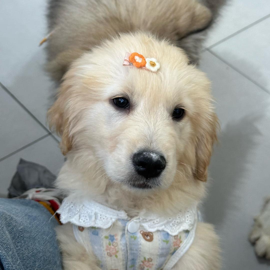 很早就会说话