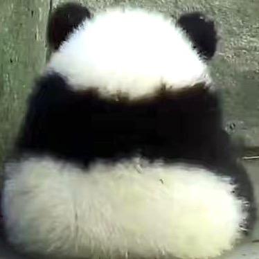 满逍琳