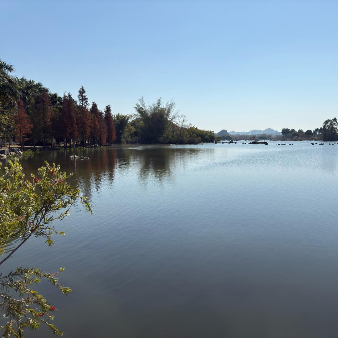 北流市富林中学李老师