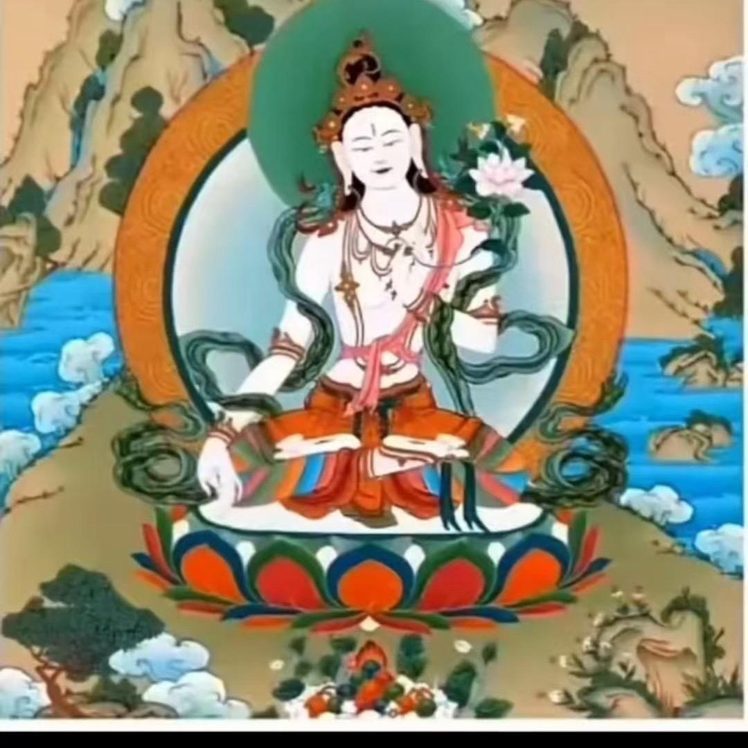 扎西曲珍🍃