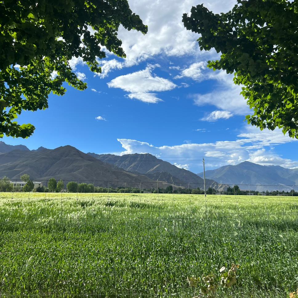 涅槃重生，加油