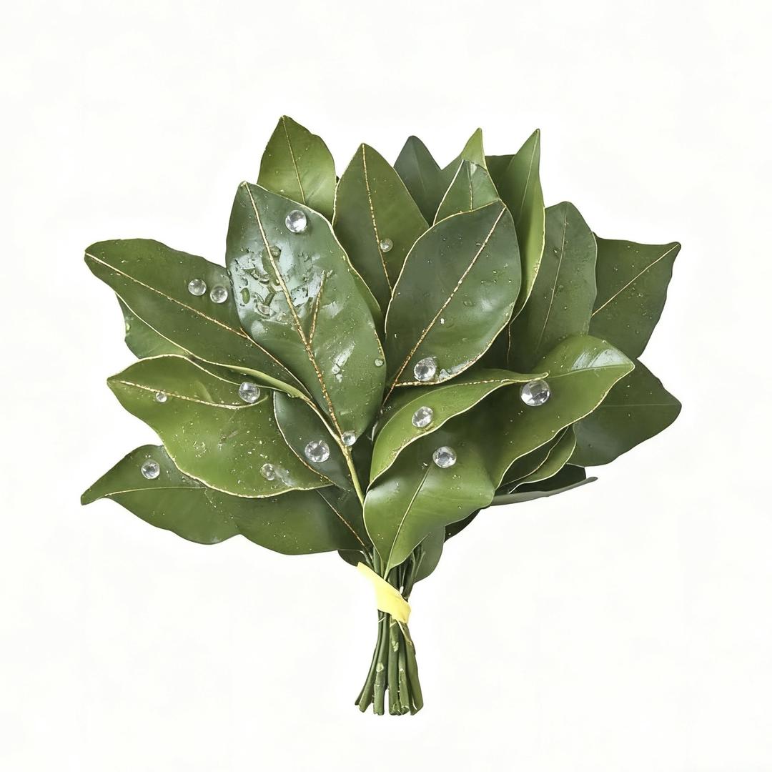 Crush是爪爪（情绪稳定）