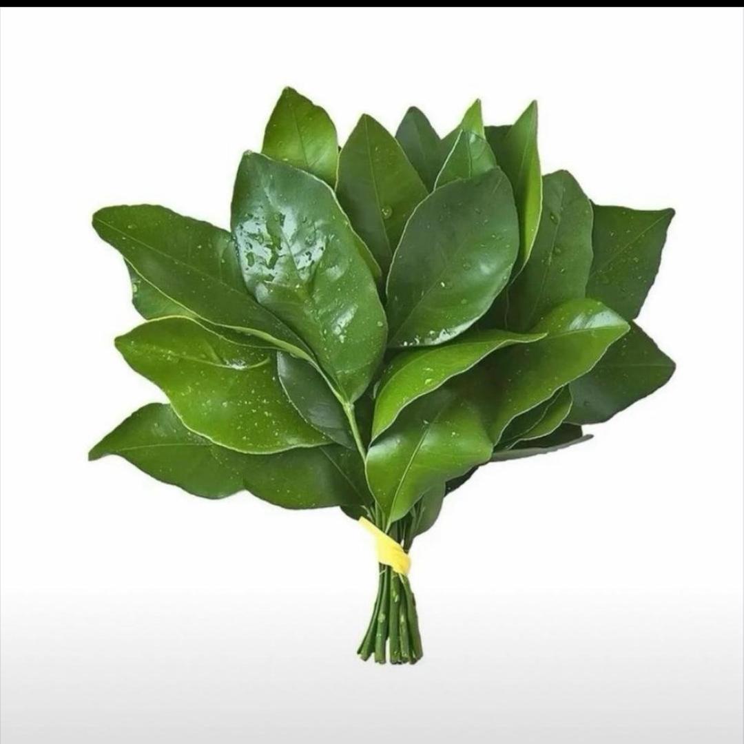 鱼糯糯🧜‍♀️