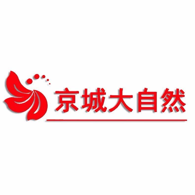 京城大自然
