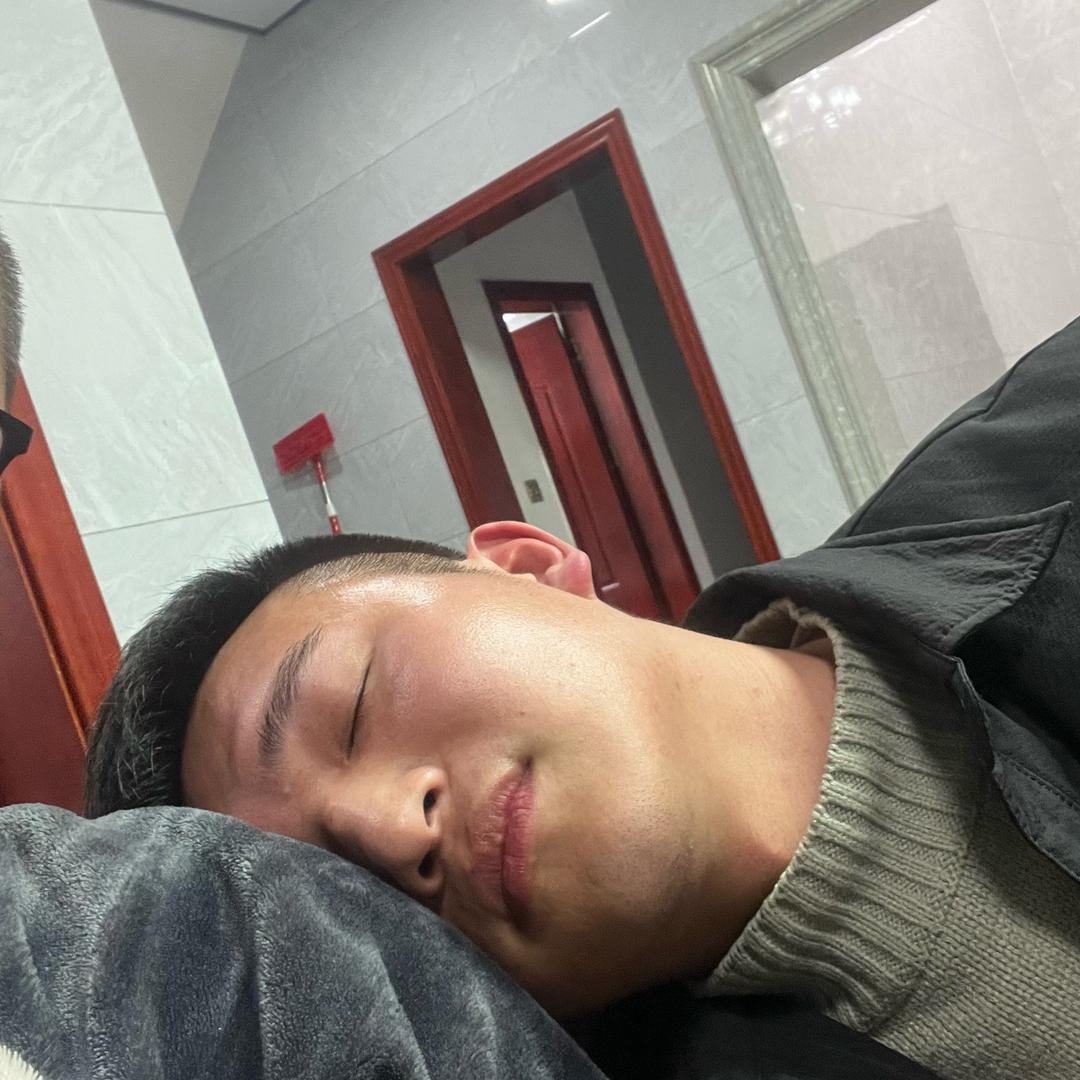 开飞机的老鼠