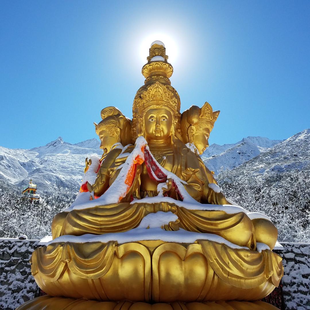 邱 凯🙏