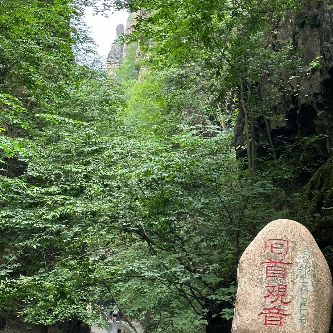 花开半夏