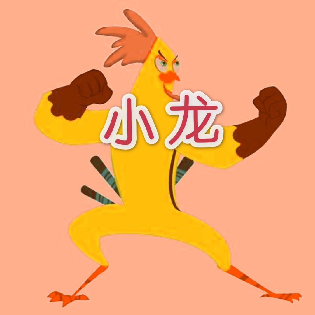 爱打游戏的小龙