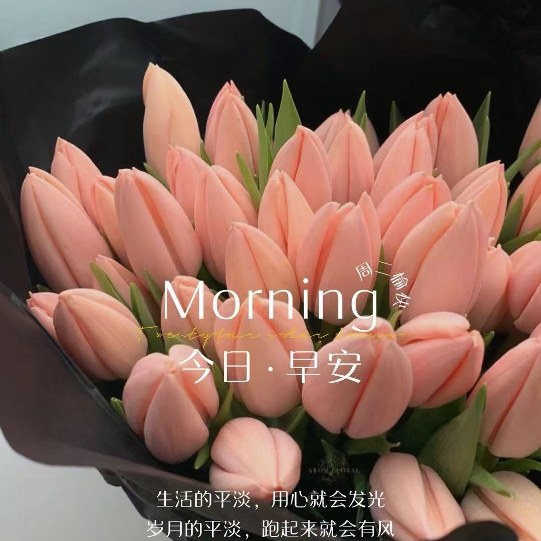 金寨倾妍美容