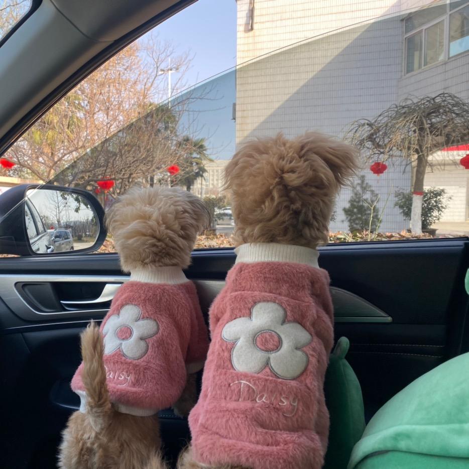 今泰天农 仁杰农资经销店