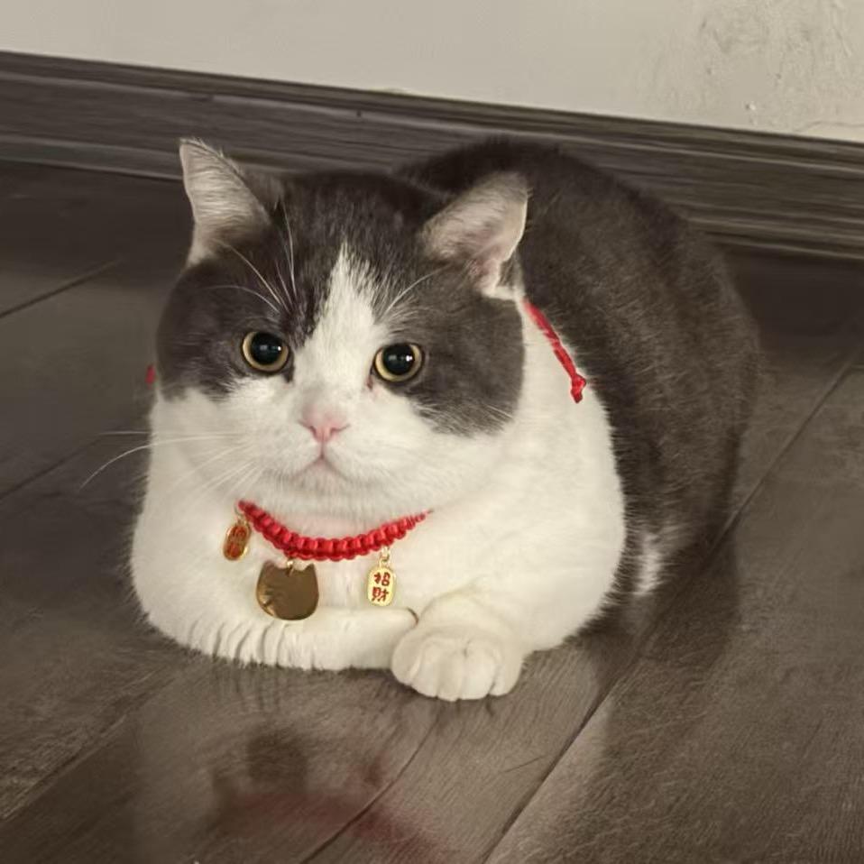 遇
