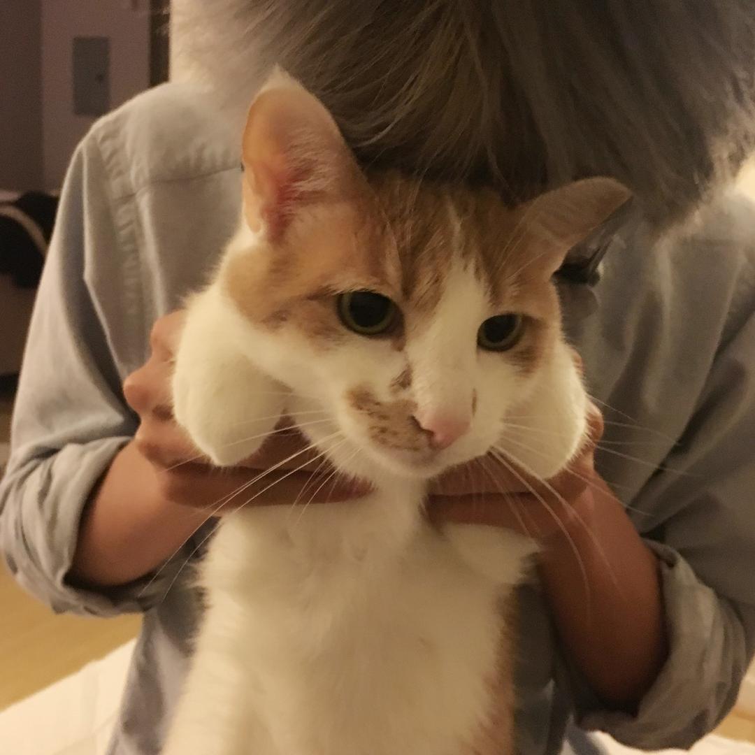 王也iii