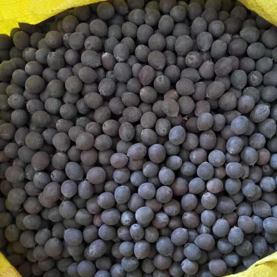 湘潭莲子报价小李