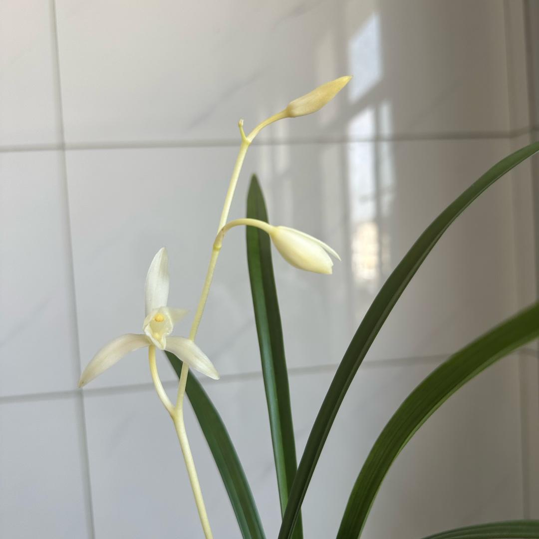 墨轩居休闲垂钓🎣农场