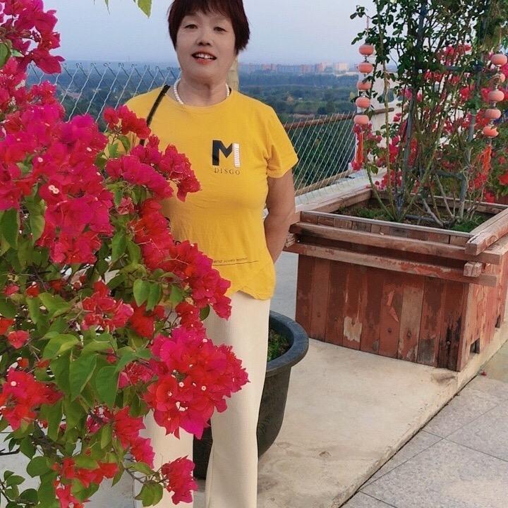 清风徐来