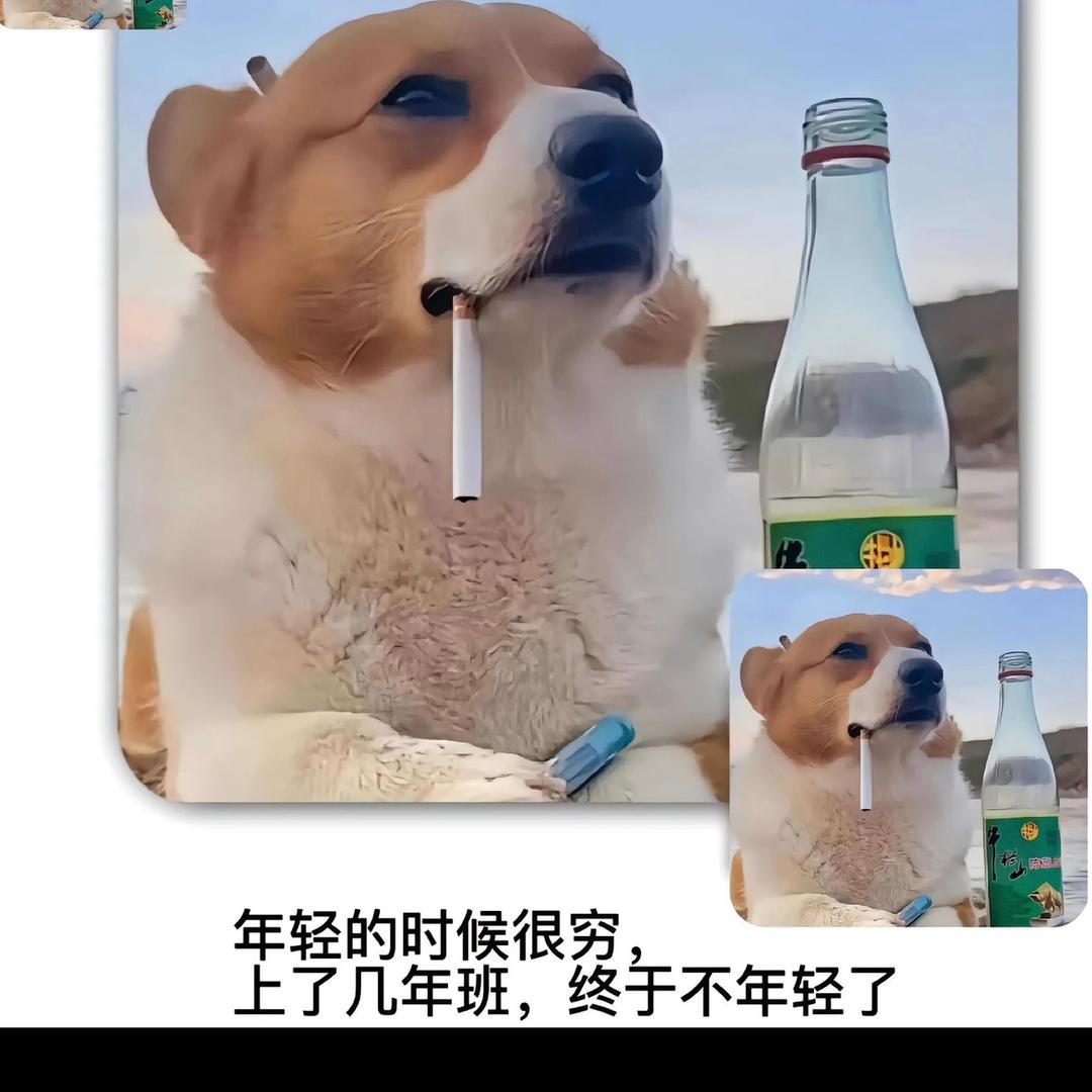 🌈不如生产队的牛马