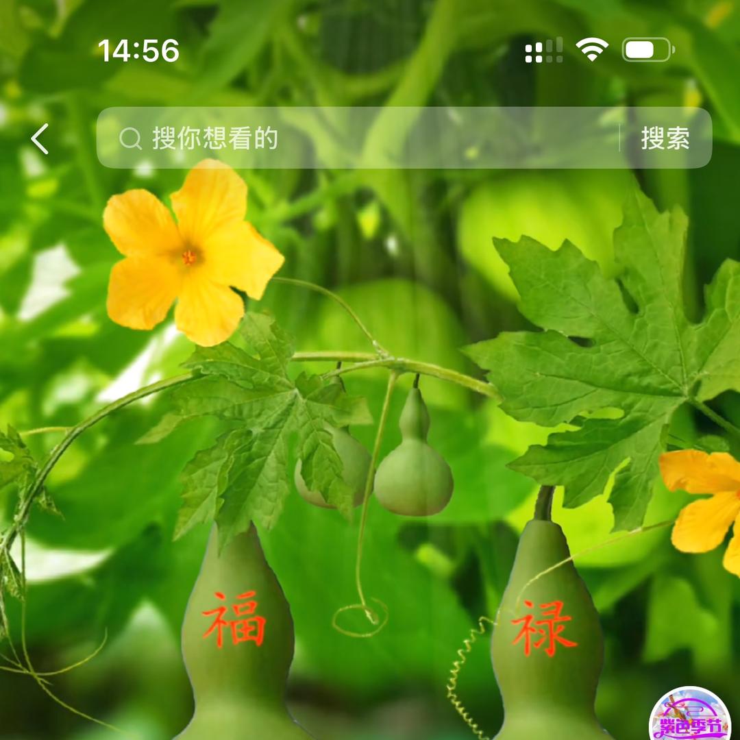 夷陵区小溪塔勘滞百货店（个体工商户）