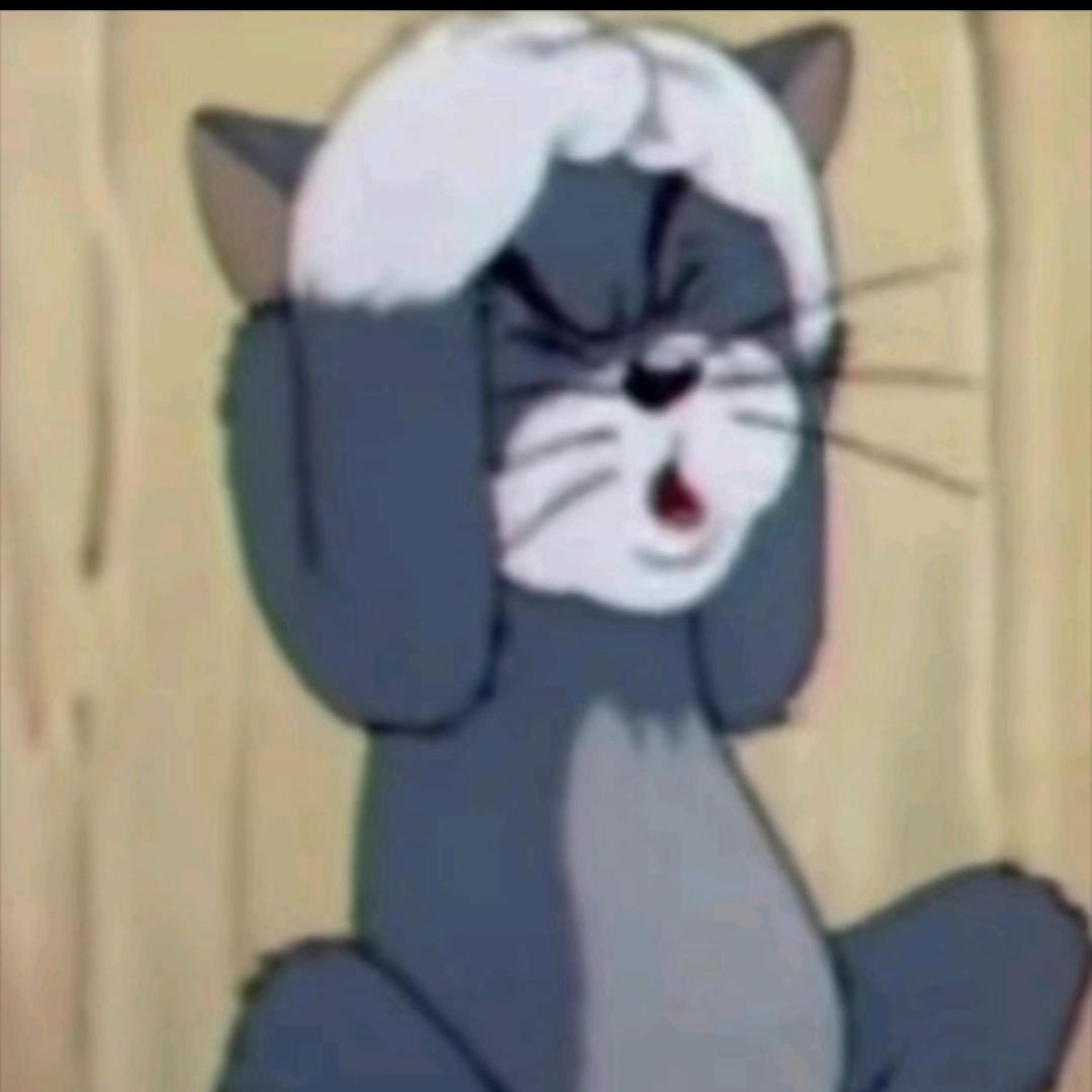 😿