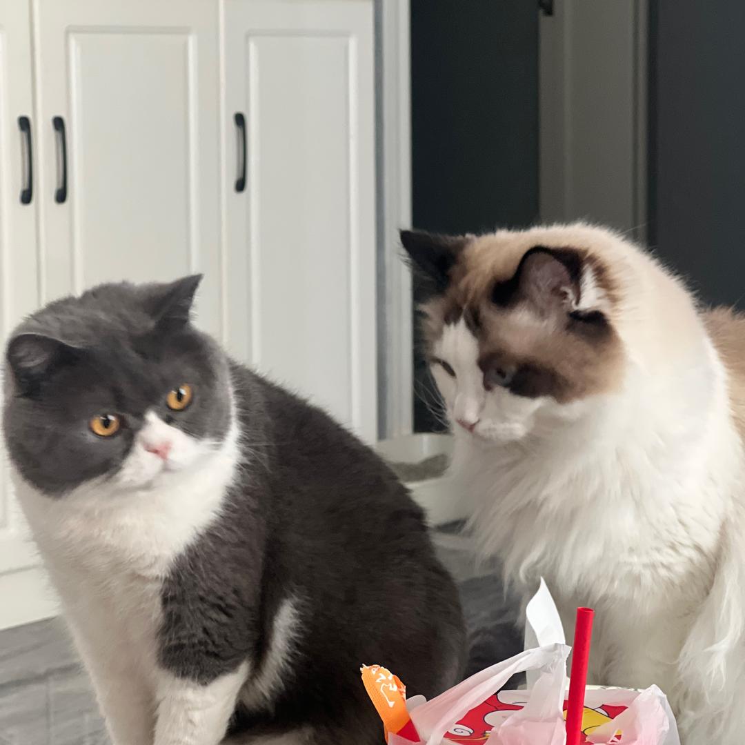 你真的很机车诶