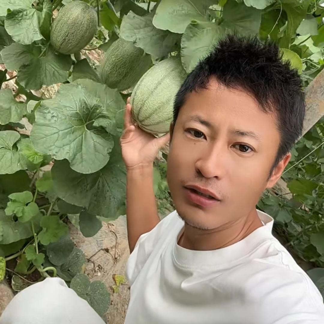 史先生🍈(产地代办）