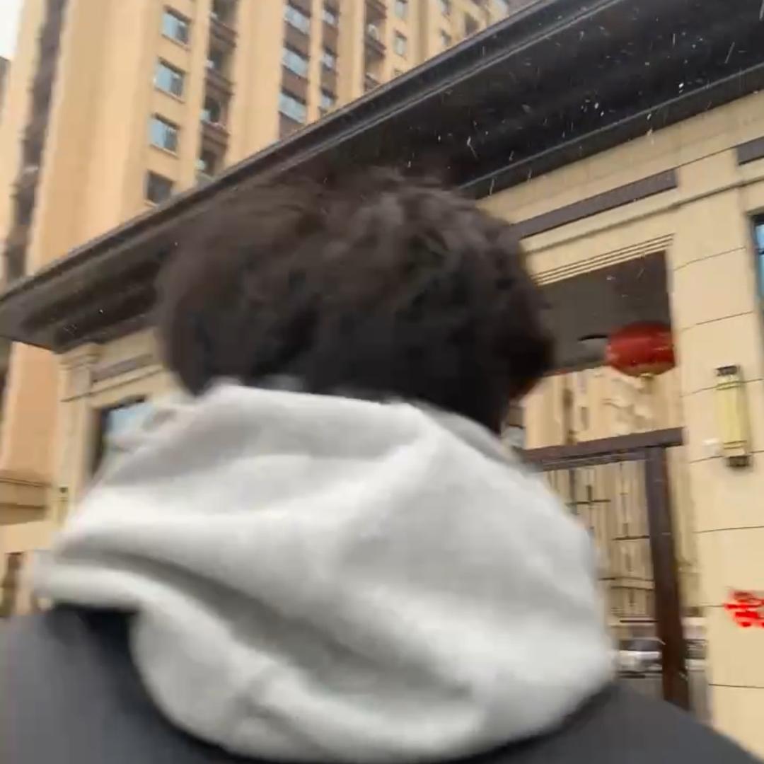 只喝佳得乐