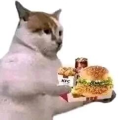 🪨