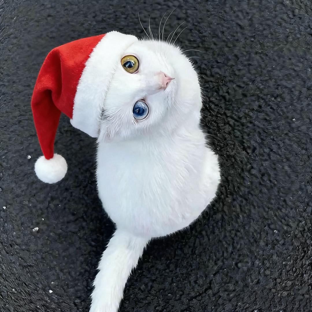 7号特工