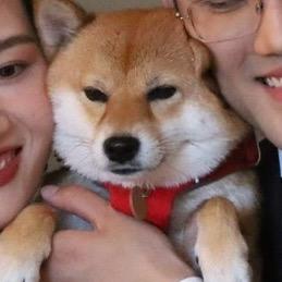 一只小小豆泥子