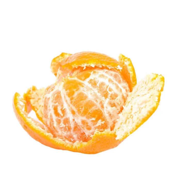烂橘子