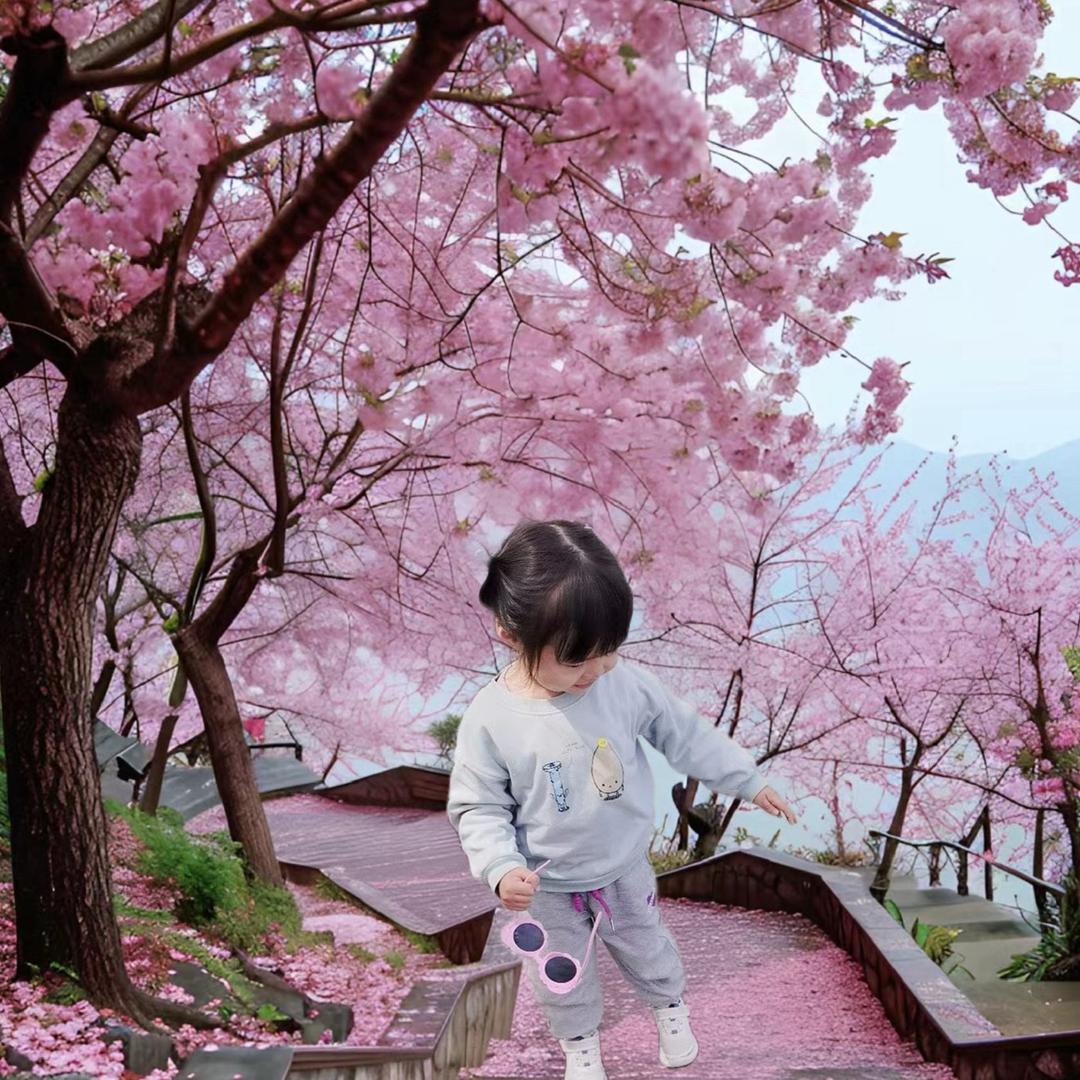 小米逛杭州