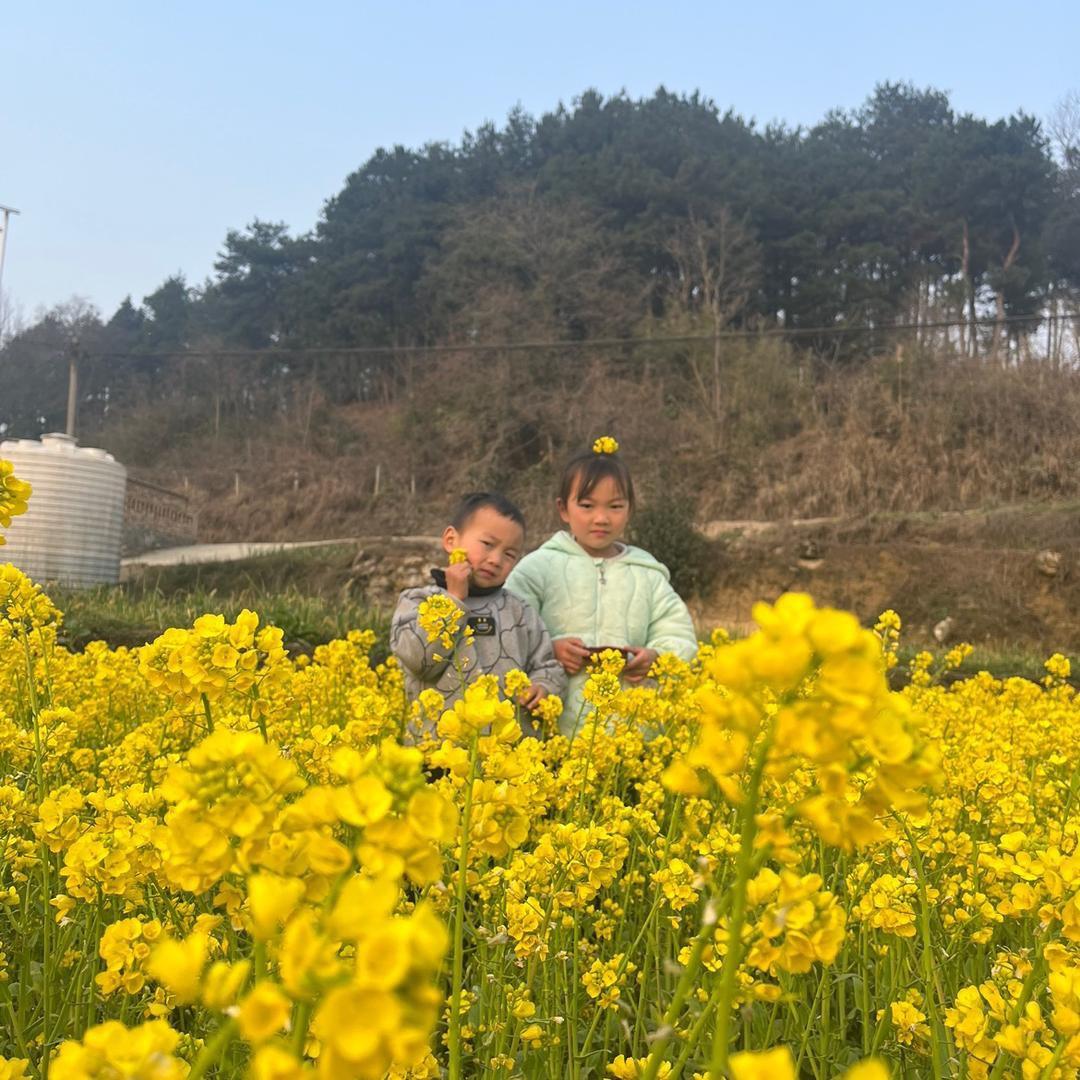 小雷爱种菜