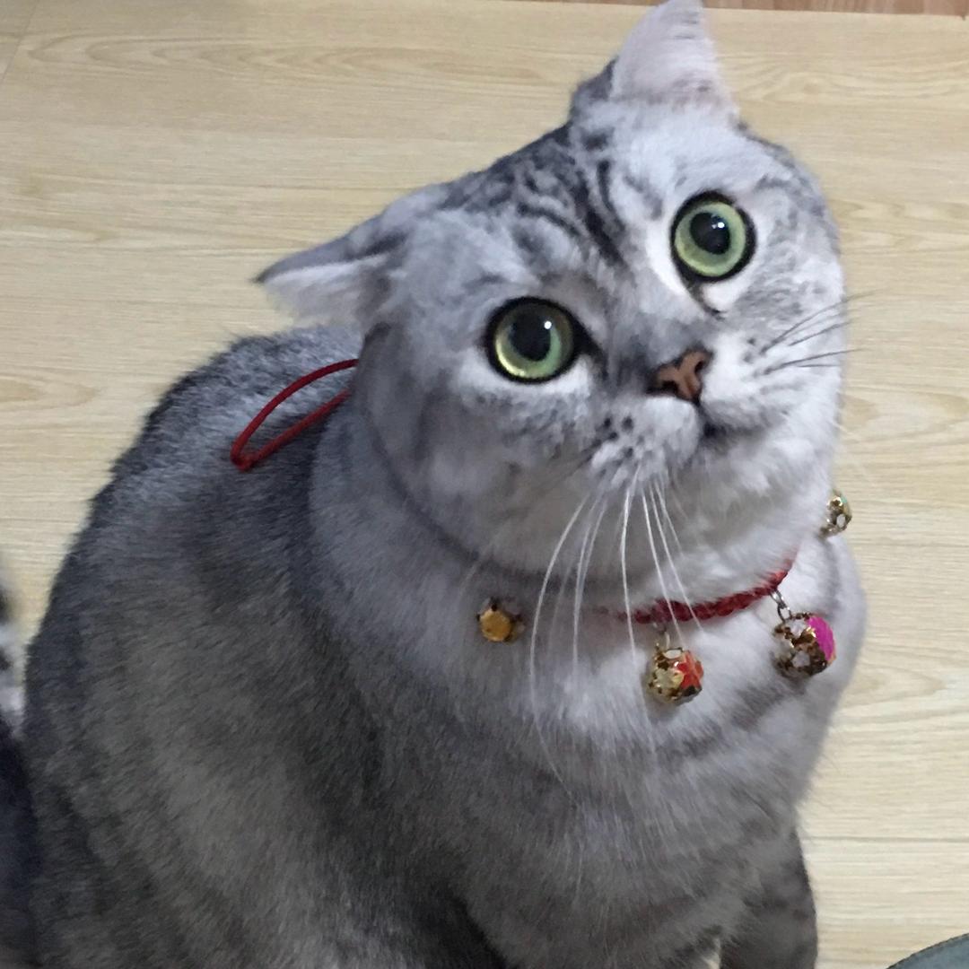 开心分享